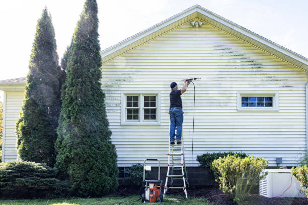 Best Gutter Cleaning  in West Branch, IA